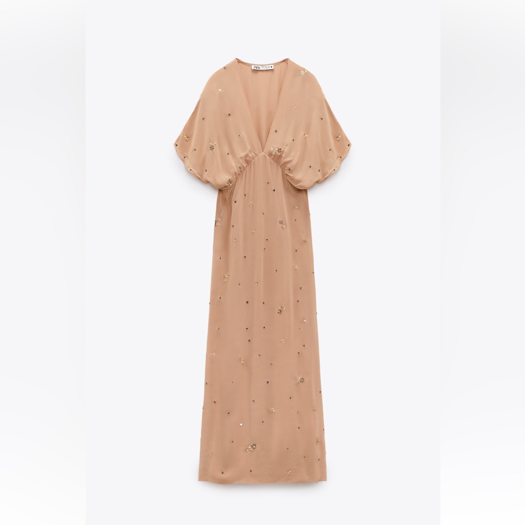 Zara Limited Edition Embroidered Dress